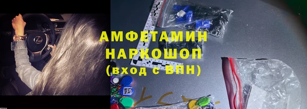 шишки Белокуриха