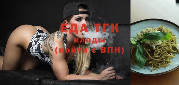 гидра Богородицк