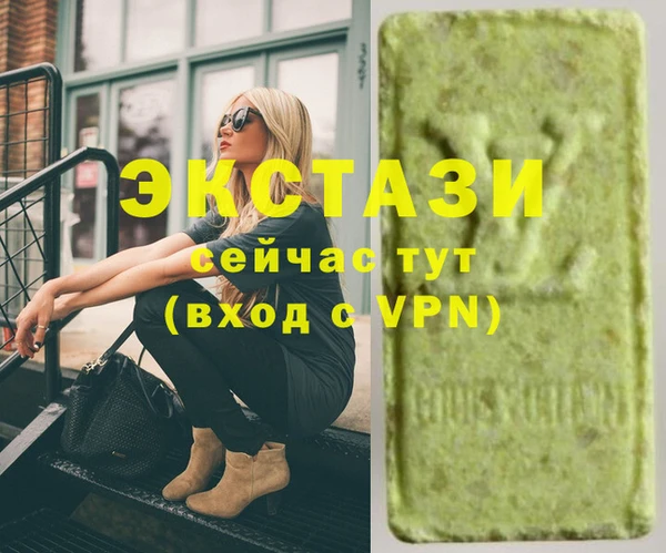 гидра Богородицк