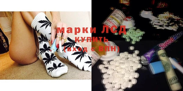 гидра Богородицк