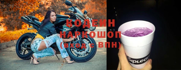 гидра Богородицк