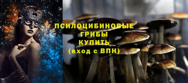 кристаллы Богородск